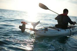 Kano sets en artikelen