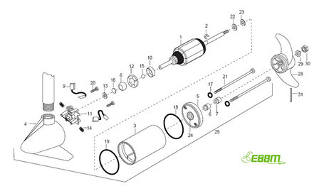 Set koolborstels en pakkingen Maxxum en Traxxis 24V 80Lbs